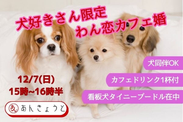 【婚活カフェ】犬好きさん限定　わん恋カフェ婚️サムネイル