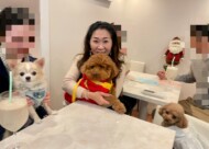 【婚活カフェ】犬好きカフェ婚サムネイル