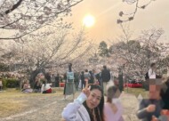 満開の円山公園で「お花見コンパ」を開催！八坂神社参拝から始まる「あんきょうと」流のご縁結びサムネイル