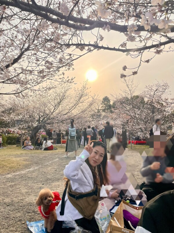満開の円山公園で「お花見コンパ」を開催！八坂神社参拝から始まる「あんきょうと」流のご縁結びサムネイル